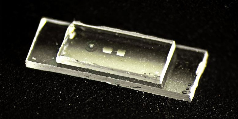 𝗤𝘂𝗮𝗻𝘁𝘂𝗺 𝗖𝗼𝗺𝗽𝘂𝘁𝗲𝗿 𝗦𝘁𝗼𝗿𝗲𝘀 𝗗𝗮𝘁𝗮 𝗶𝗻 𝗩𝗶𝗯𝗿𝗮𝘁𝗶𝗼𝗻𝘀 𝗟𝗶𝗸𝗲 𝗡𝗼𝘁𝗲𝘀 𝗼𝗻 𝗮 𝗚𝘂𝗶𝘁𝗮𝗿
