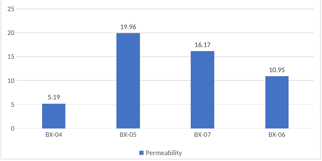 𝗦𝘁𝗿𝗮𝘁𝗶𝗴𝗿𝗮𝗽𝗵𝗶𝗰 𝗖𝗼𝗻𝘁𝗿𝗼𝗹𝘀 𝗼𝗻 𝗥𝗲𝘀𝗲𝗿𝘃𝗼𝗶𝗿 𝗤𝘂𝗮𝗹𝗶𝘁𝘆 𝗶𝗻 𝘁𝗵𝗲 𝗗𝗲𝗲𝗽-𝗢𝗳𝗳𝘀𝗵𝗼𝗿𝗲 𝗡𝗶𝗴𝗲𝗿 𝗗𝗲𝗹𝘁𝗮: 𝗜𝗻𝘁𝗲𝗴𝗿𝗮𝘁𝗲𝗱 𝗦𝗲𝗾𝘂𝗲𝗻𝗰𝗲-𝗦𝘁𝗿𝗮𝘁𝗶𝗴𝗿𝗮𝗽𝗵𝗶𝗰 𝗮𝗻𝗱 𝗣𝗲𝘁𝗿𝗼𝗽𝗵𝘆𝘀𝗶𝗰𝗮𝗹 𝗘𝘃𝗶𝗱𝗲𝗻𝗰𝗲 𝗳𝗿𝗼𝗺 𝘁𝗵𝗲 ‘𝗕𝗫’ 𝗙𝗶𝗲𝗹𝗱